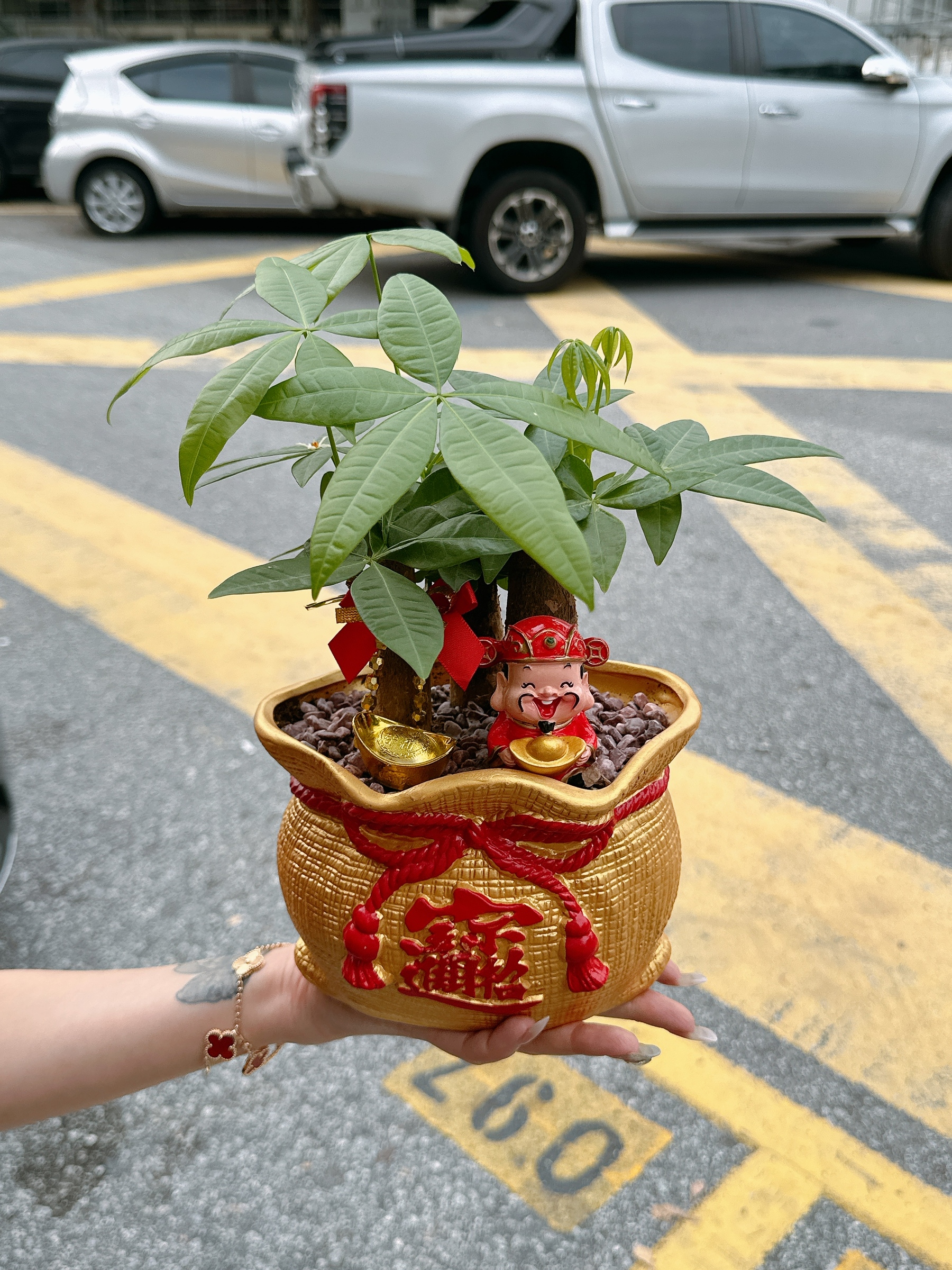 image_68608293-A525-4882-B11D-62143F7BB241_1768975490