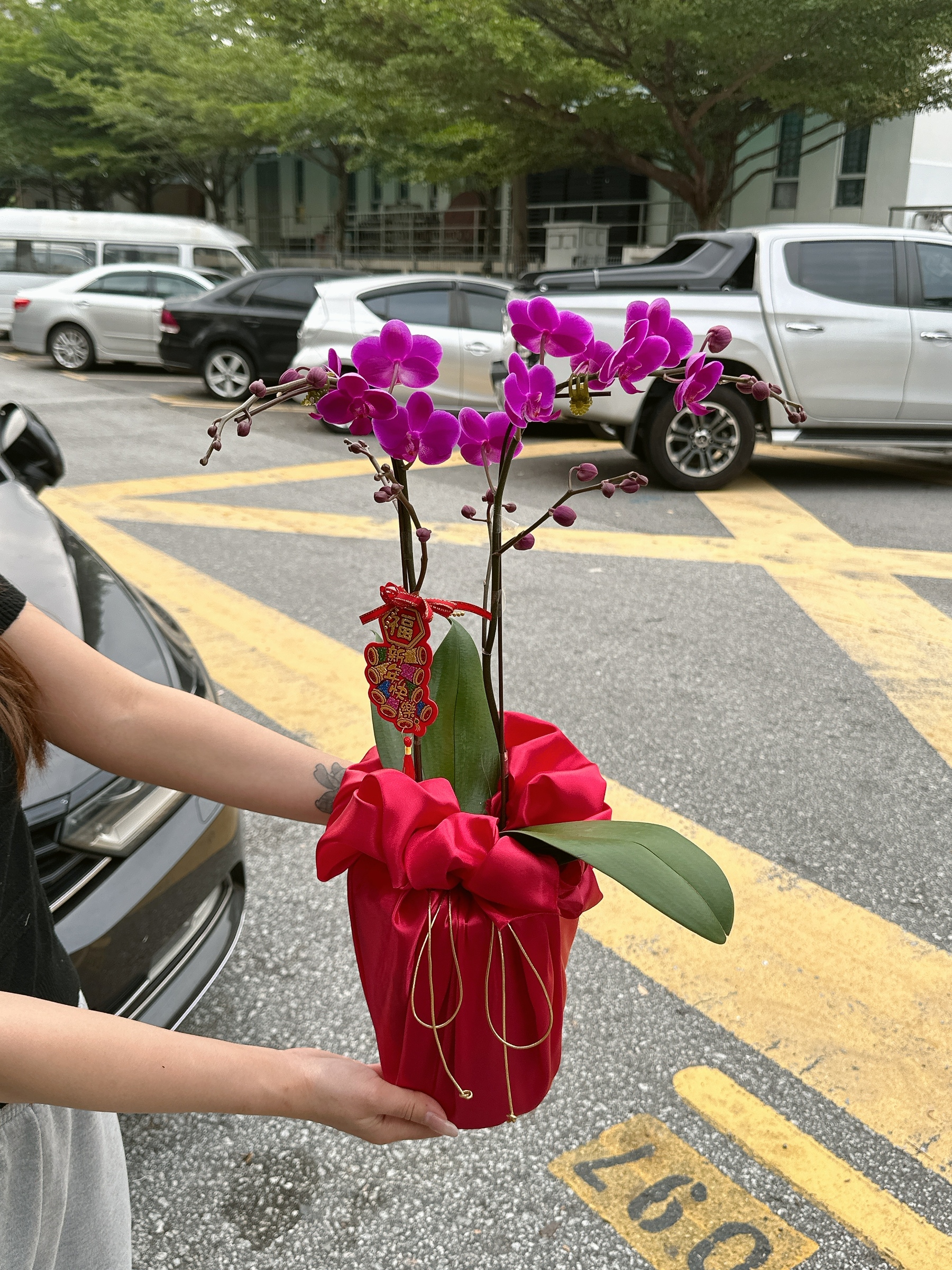 image_F8470819-D26B-4574-ACCD-9C70FBED9B25_1768975864