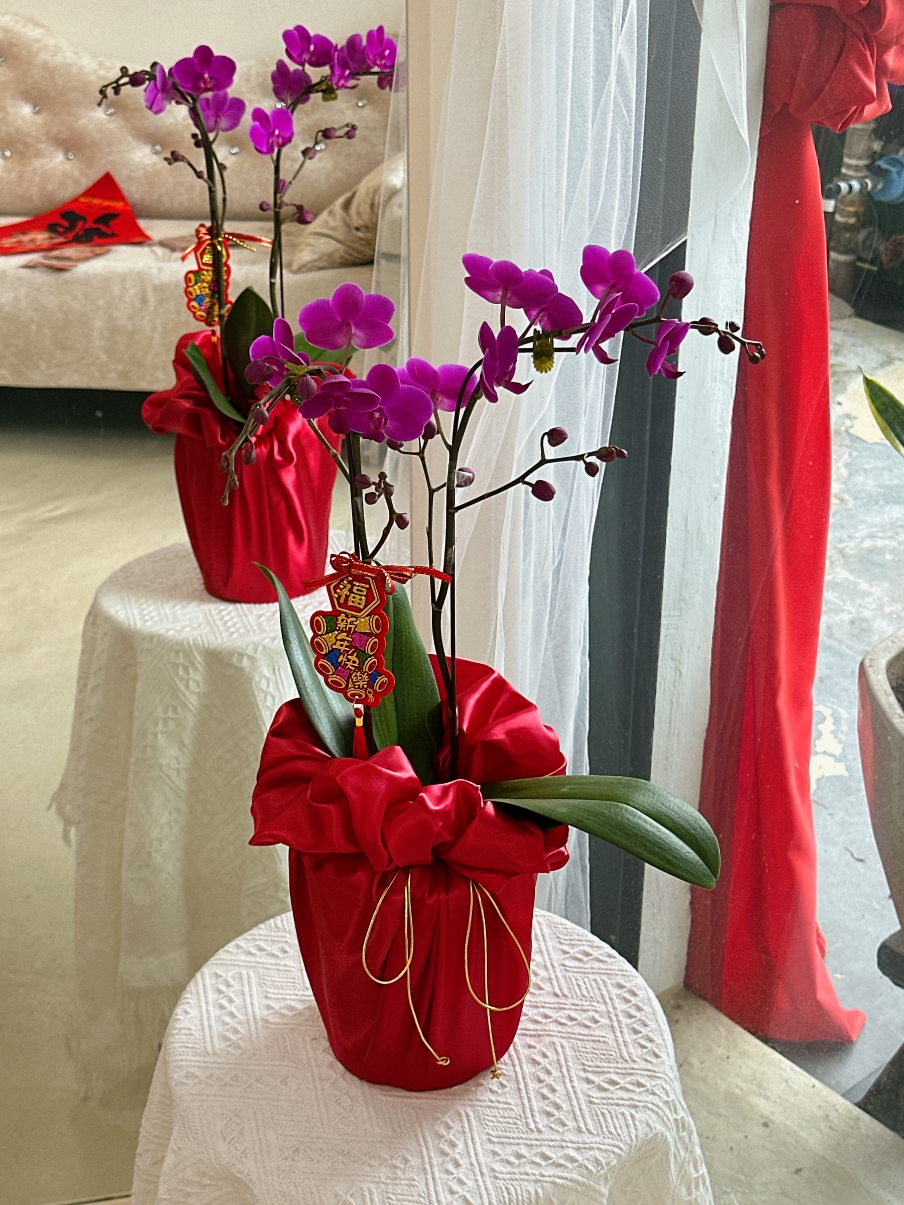 image_C85EF264-5DBA-4822-B575-45526E49D9BC_1768975864