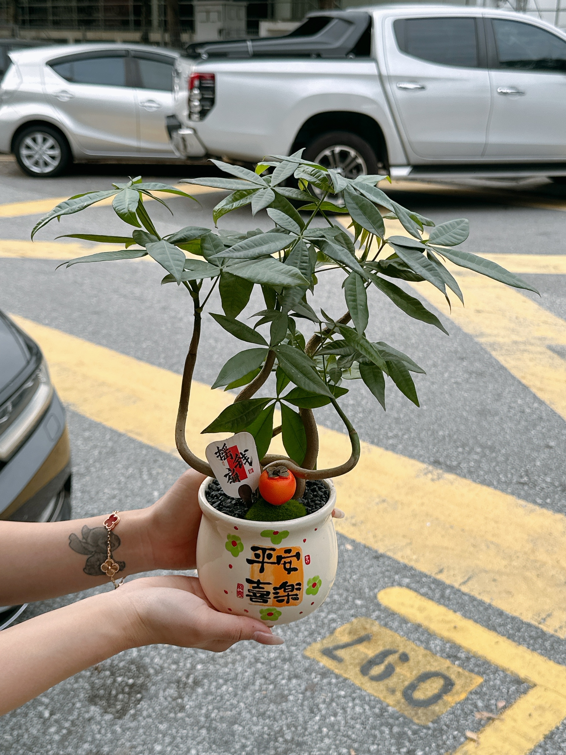 image_ECD6BD32-AF1A-4E1F-A6B3-E2200EE86253_1768976256