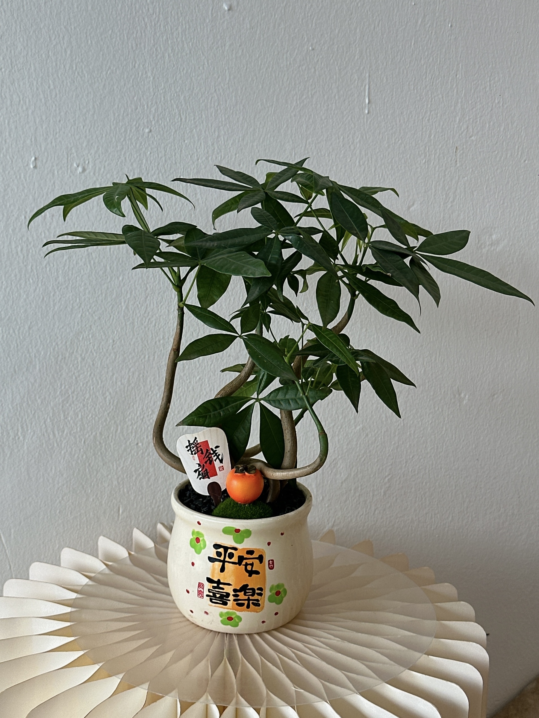 image_A28AF25A-8517-44E2-8EB9-9D6D89122861_1768976256