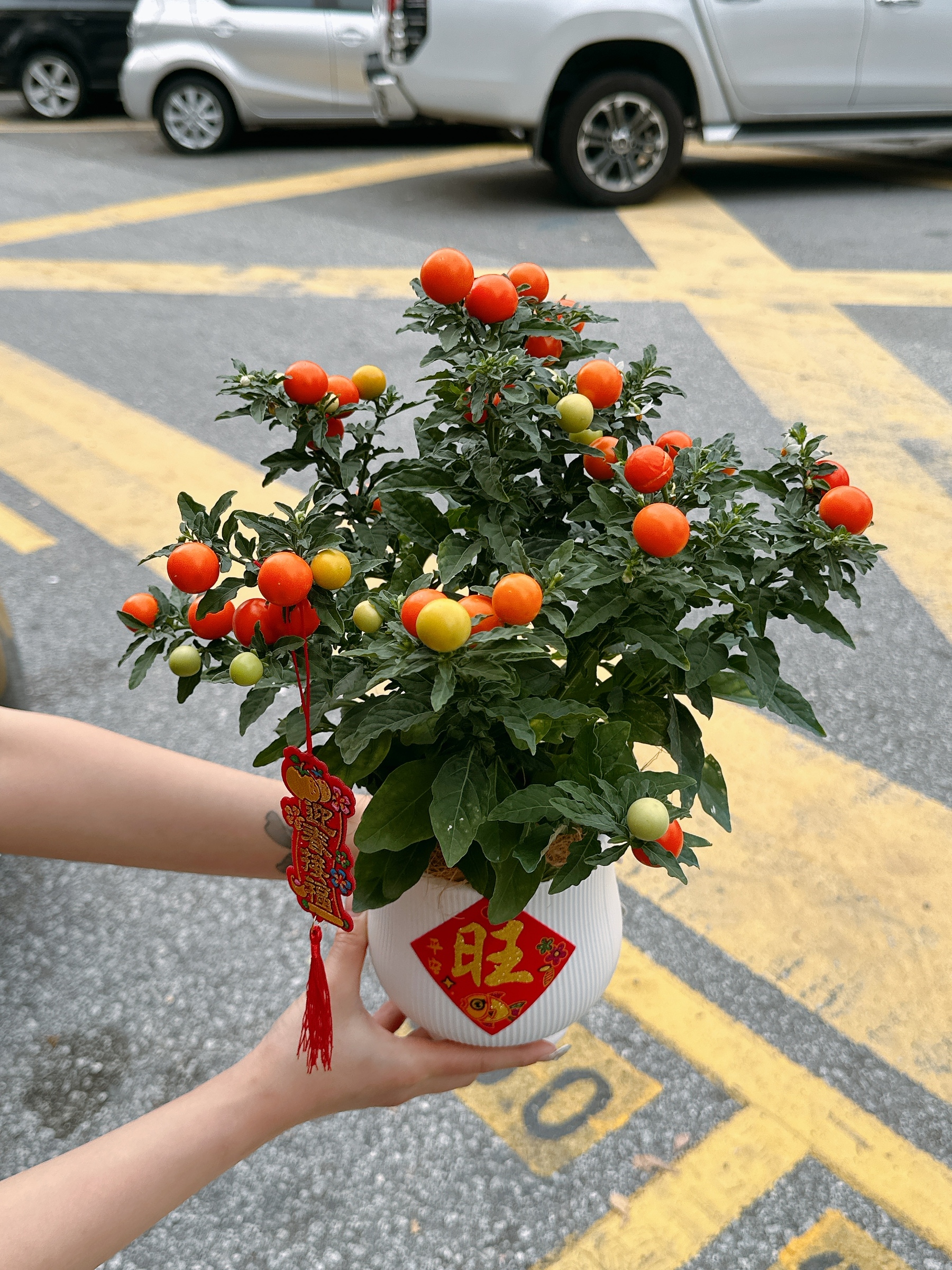 image_3715A4BA-53A3-4FB8-928D-0520F5164F80_1768976446