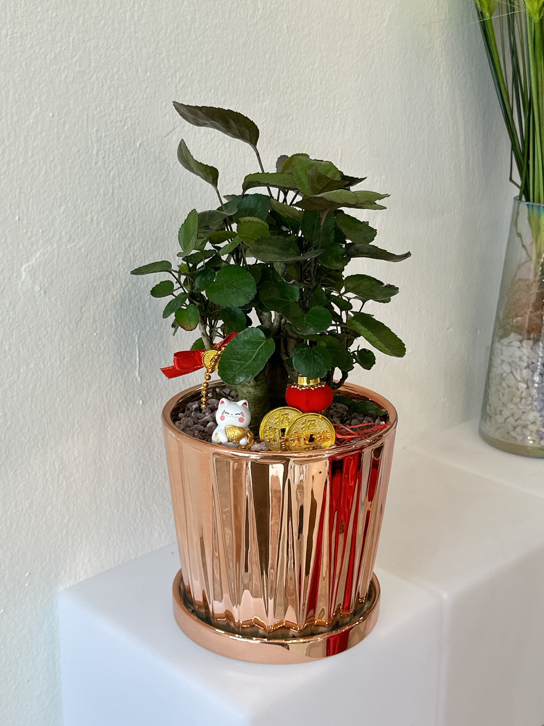 image_7E7E6899-2903-4AD7-924B-5605FC9E371B_1768976741