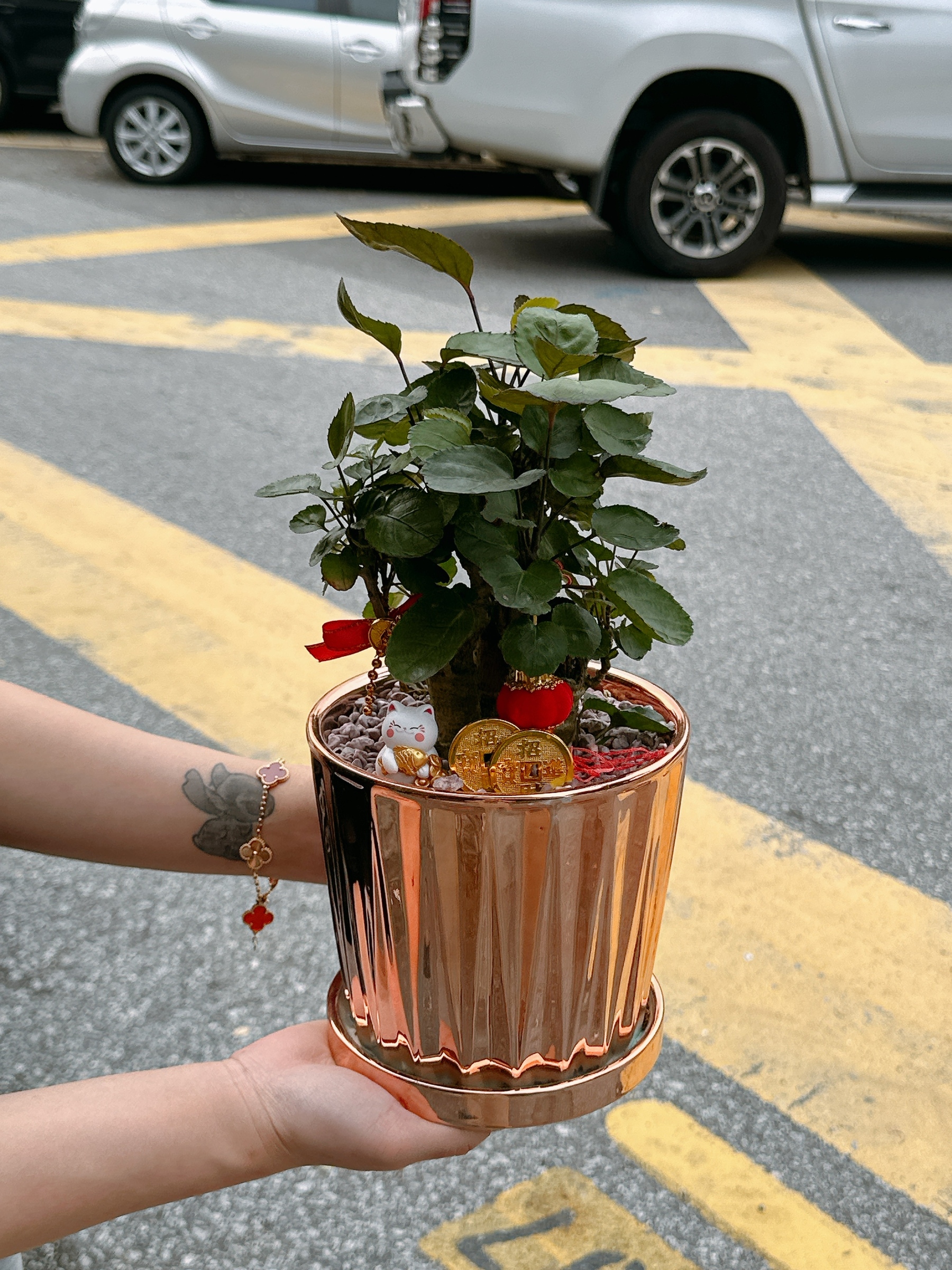 image_80CA39FA-CDAB-4454-BB53-2476F9A53525_1768976741