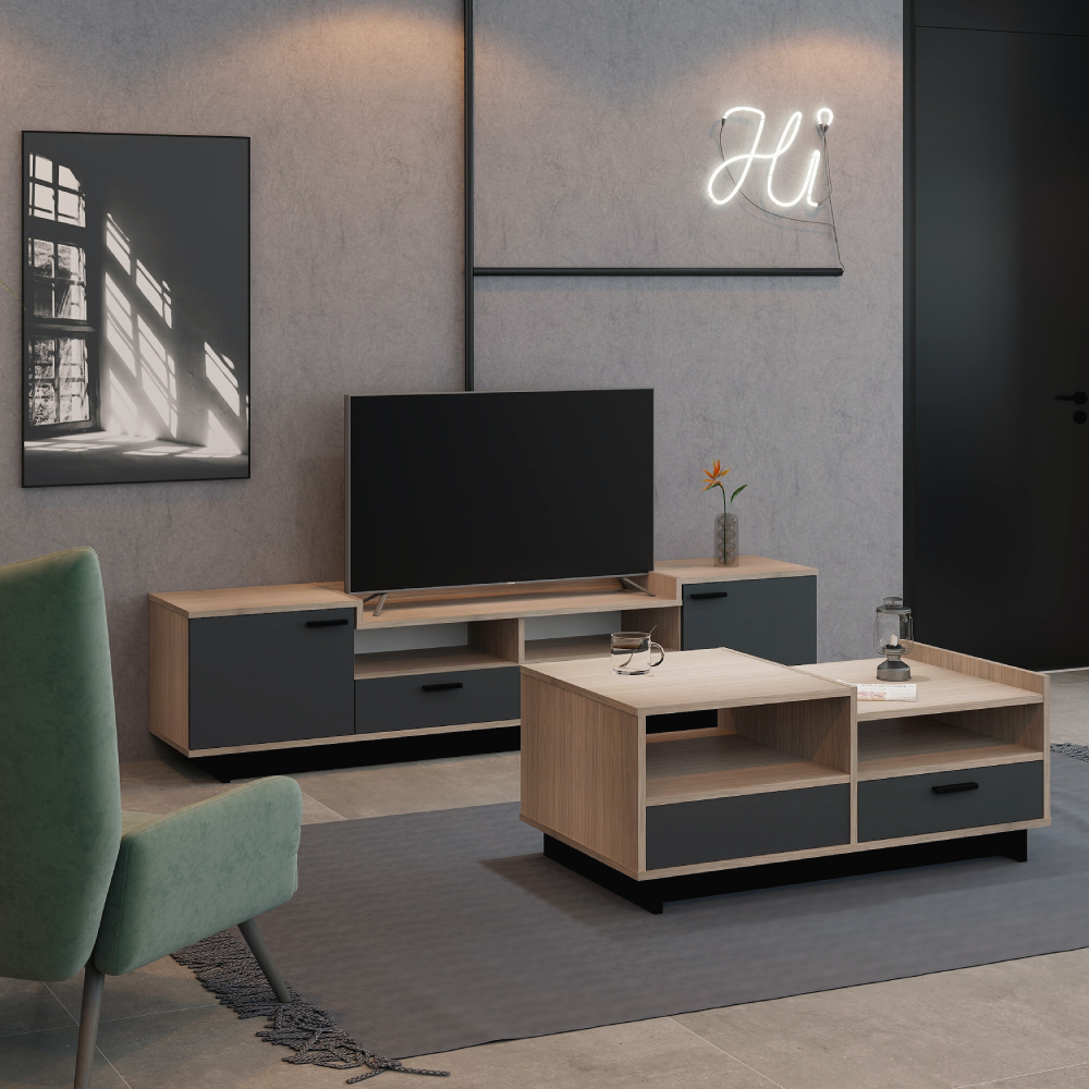 TV2013-SG+T-Without-Watermark-03