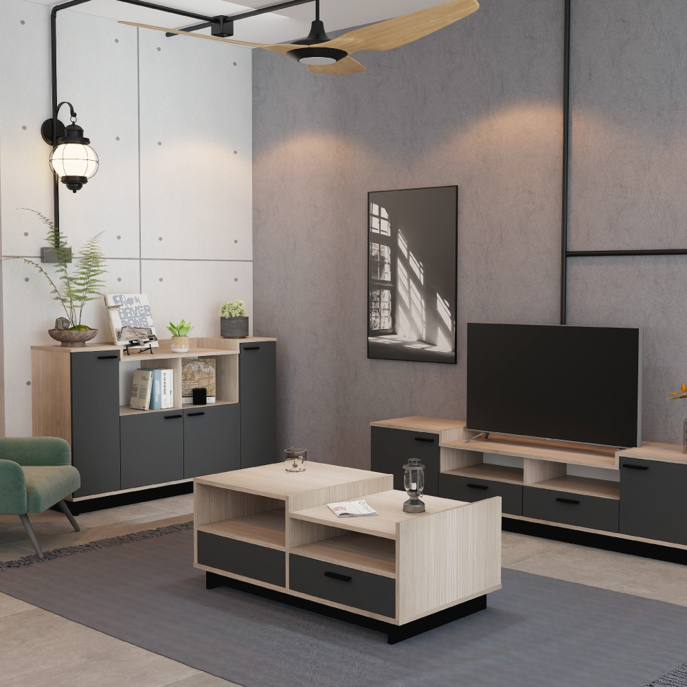 TV2013-SG+T-Without-Watermark-04