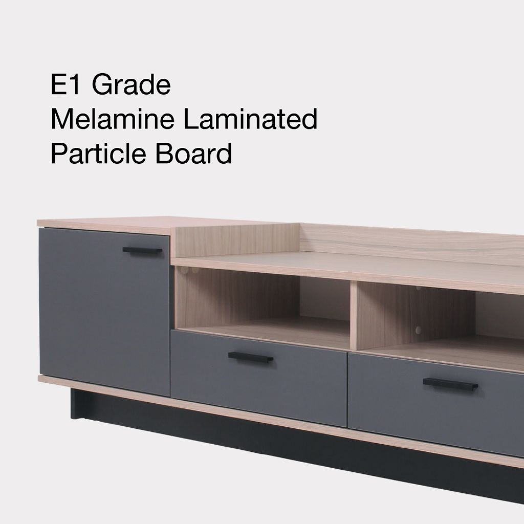 TV2013-SG+T-Without-Watermark-07