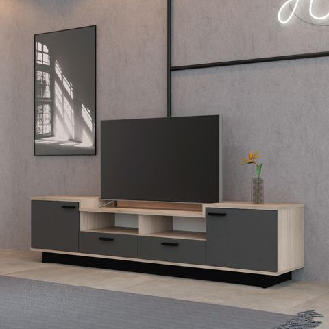 TV2013-SG+T-Without-Watermark-02