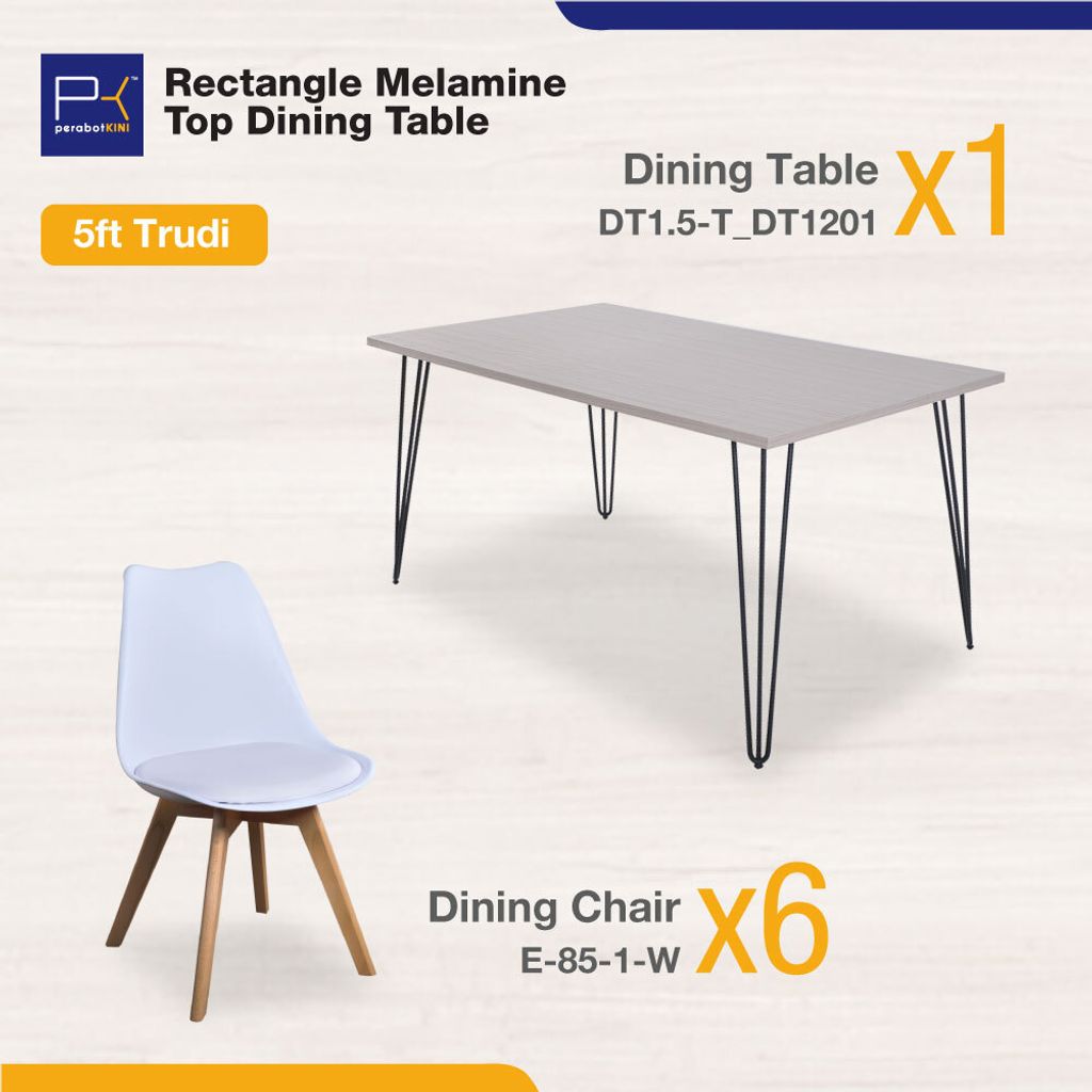 DT-T_DT1201_E-85-1-04