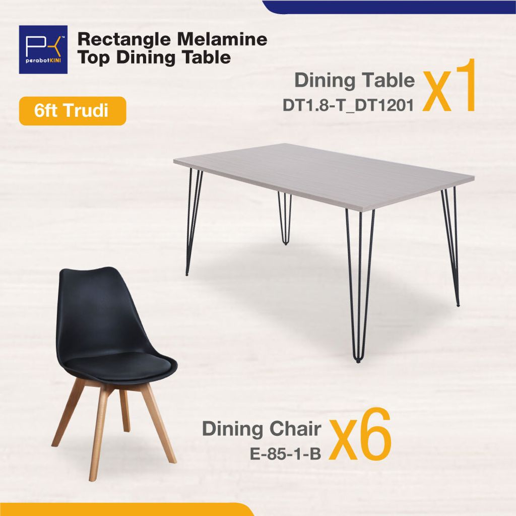 DT-T_DT1201_E-85-1-05