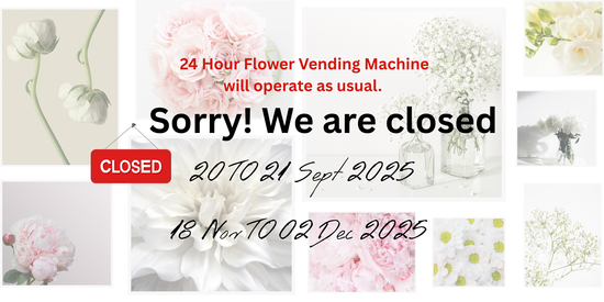  | Pudu | Accept Urgent Order | 1 Hour Delivery |  PJ Damansara Florist & Flower Delivery | By CraftsFlower.com - KL / PJ / Klang Valley 24/7 Flower Delivery 