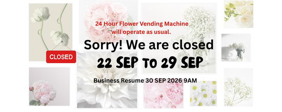  | Pudu PJ / Damansara KL | Accept Urgent Order | 1 Hour Delivery |  PJ Damansara Florist & Flower Delivery | By CraftsFlower.com - KL / PJ / Klang Valley 24/7 Flower Delivery 