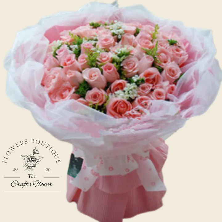 ANIS- 8 JUN 2023 (47)