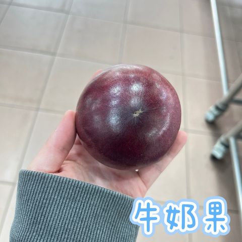 S__124887119
