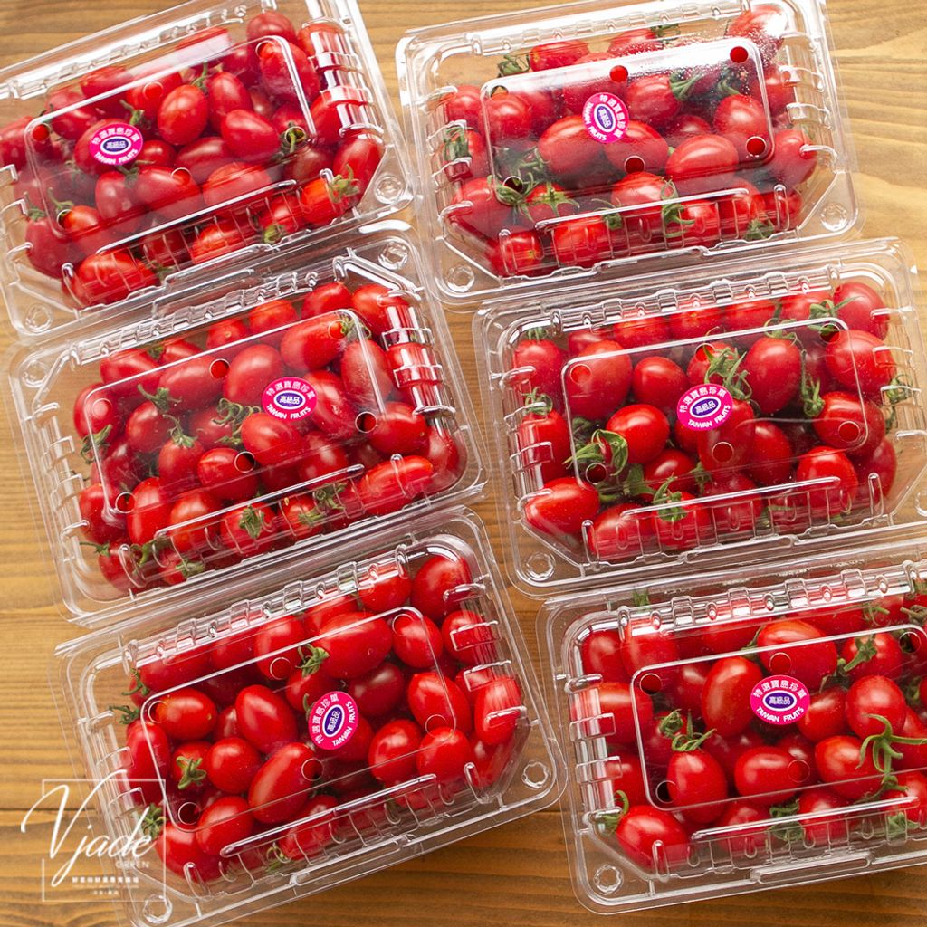 tw-11134207-23030-l9i2vpnecvov57