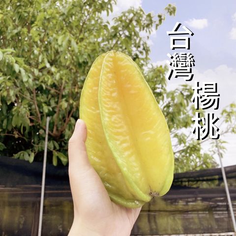 9d24df351755e10b6a39aa4b56cf1f8f