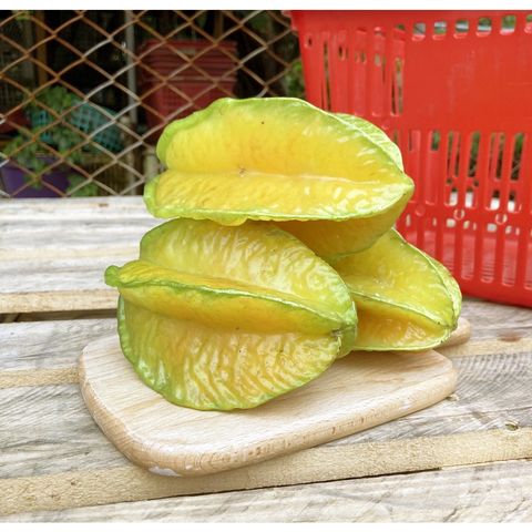 b41f8f498d6ba9d31309b959b5b99005