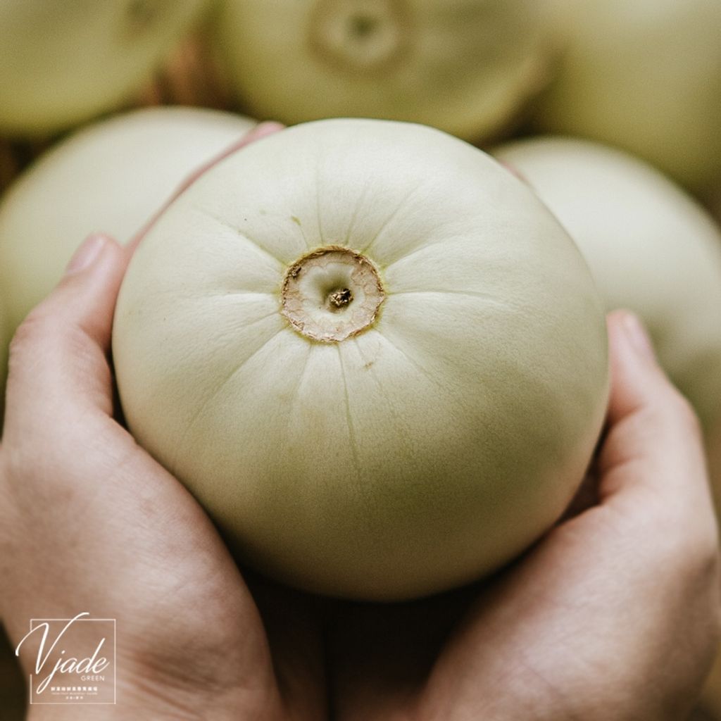 0b34e503b19d19d3e63dc180a7f6350b