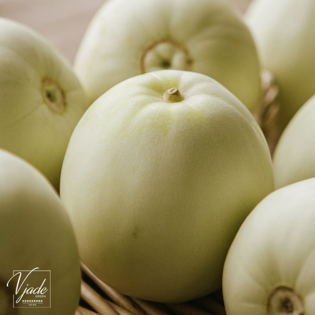 3e63e4fb2967b5fac2bbe4de929320ce