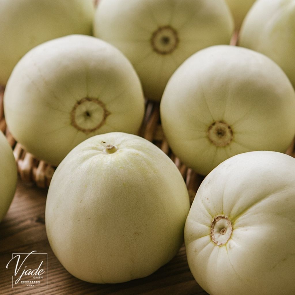 8a2d0fd41c4c8eacc5c83ee6e8bae3aa