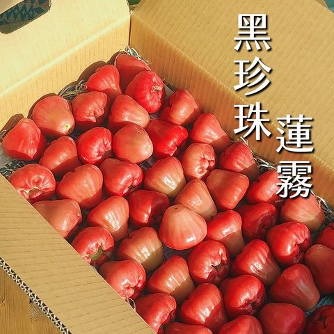 d70c73534c4b84900b419f399e46ee28