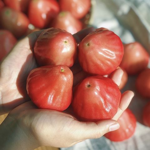 sg-11134201-22120-d1zkweuhfblv30