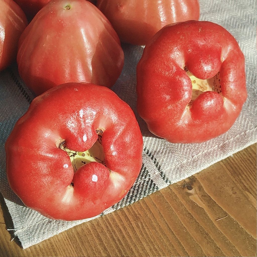 sg-11134201-22120-cf2xjvuhfblv57