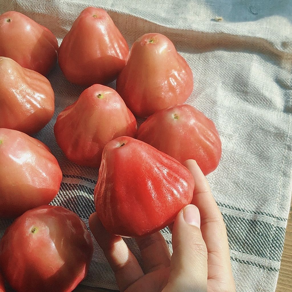 sg-11134201-22120-wu78louhfblvf8