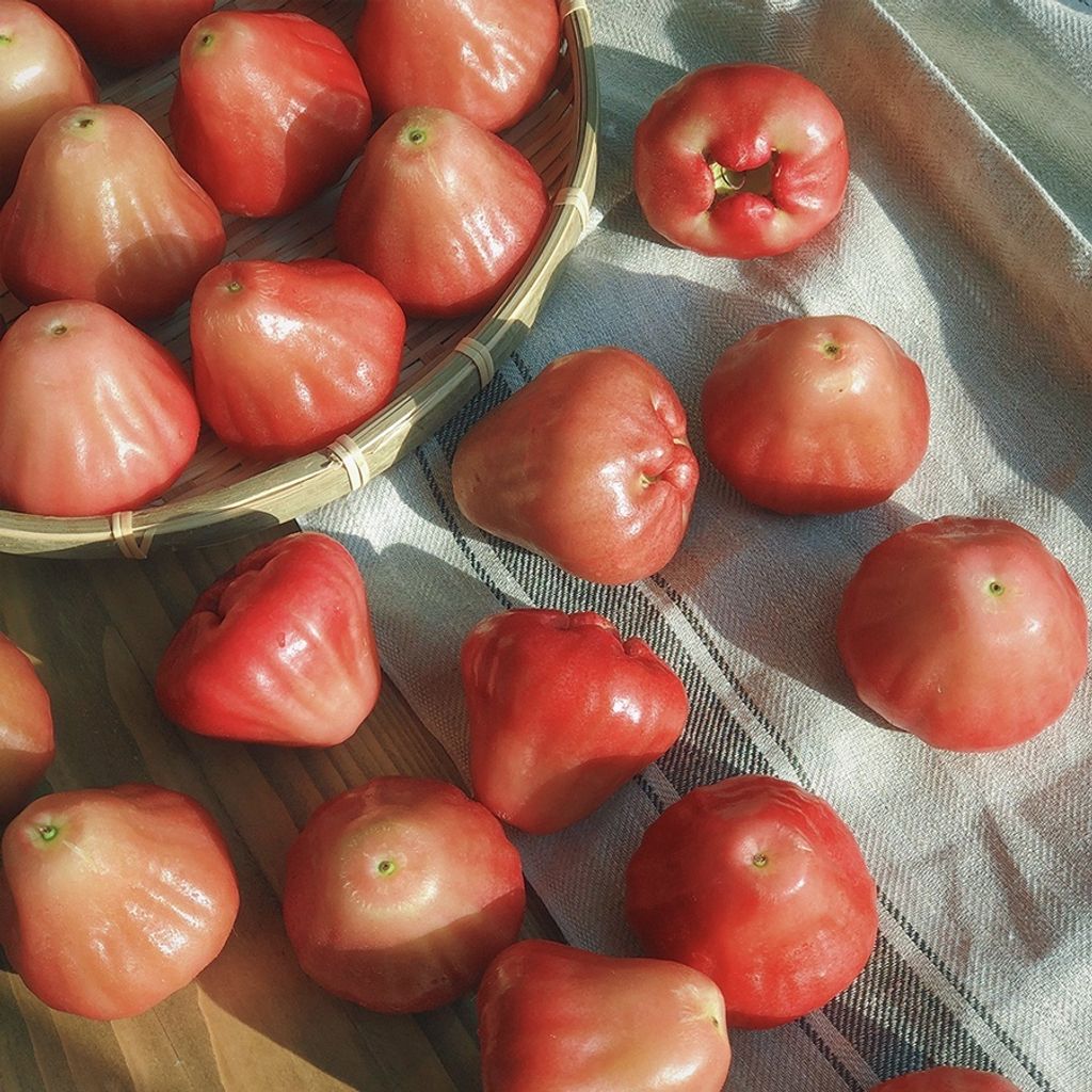 sg-11134201-22120-pwmwjvuhfblv3d