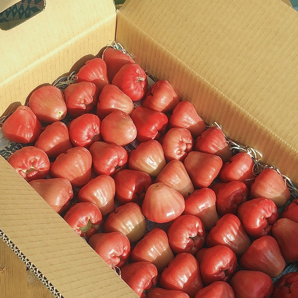 sg-11134201-22120-uymxtvuhfblv6d