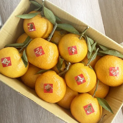 sg-11134201-22120-ncvcd6x3wolv6f