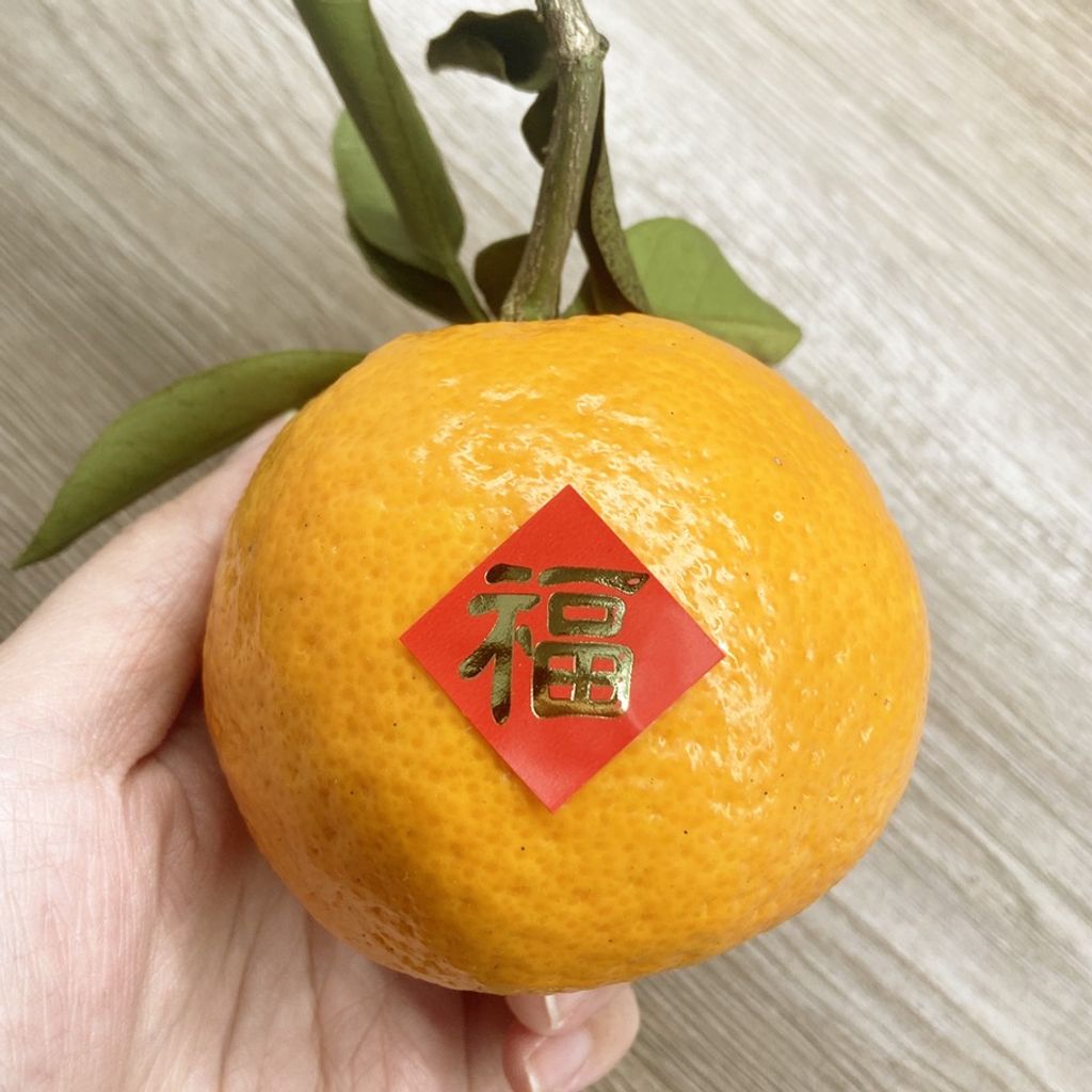 tw-11134207-22120-1hpuz403wolvce