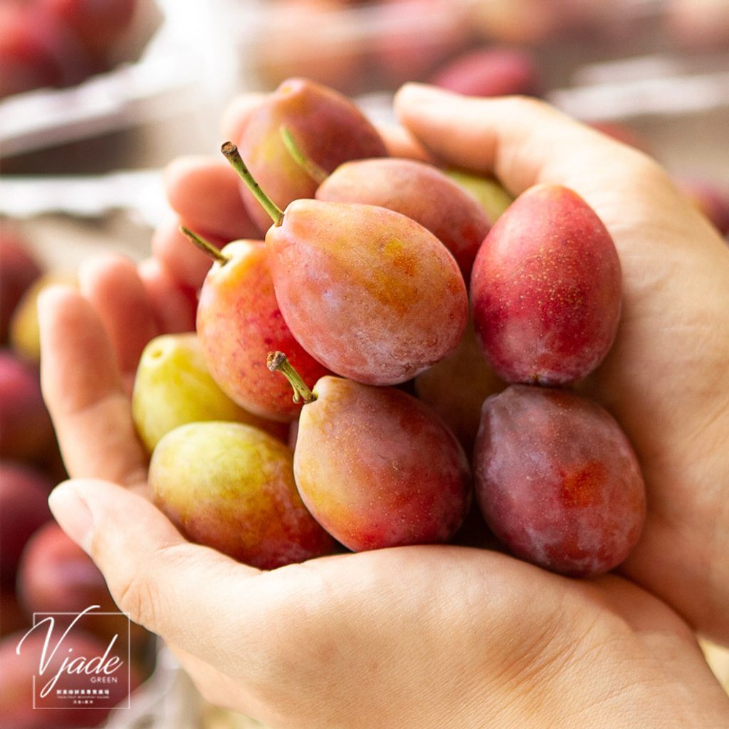 tw-11134207-23030-3cjrhc4jcvov9d