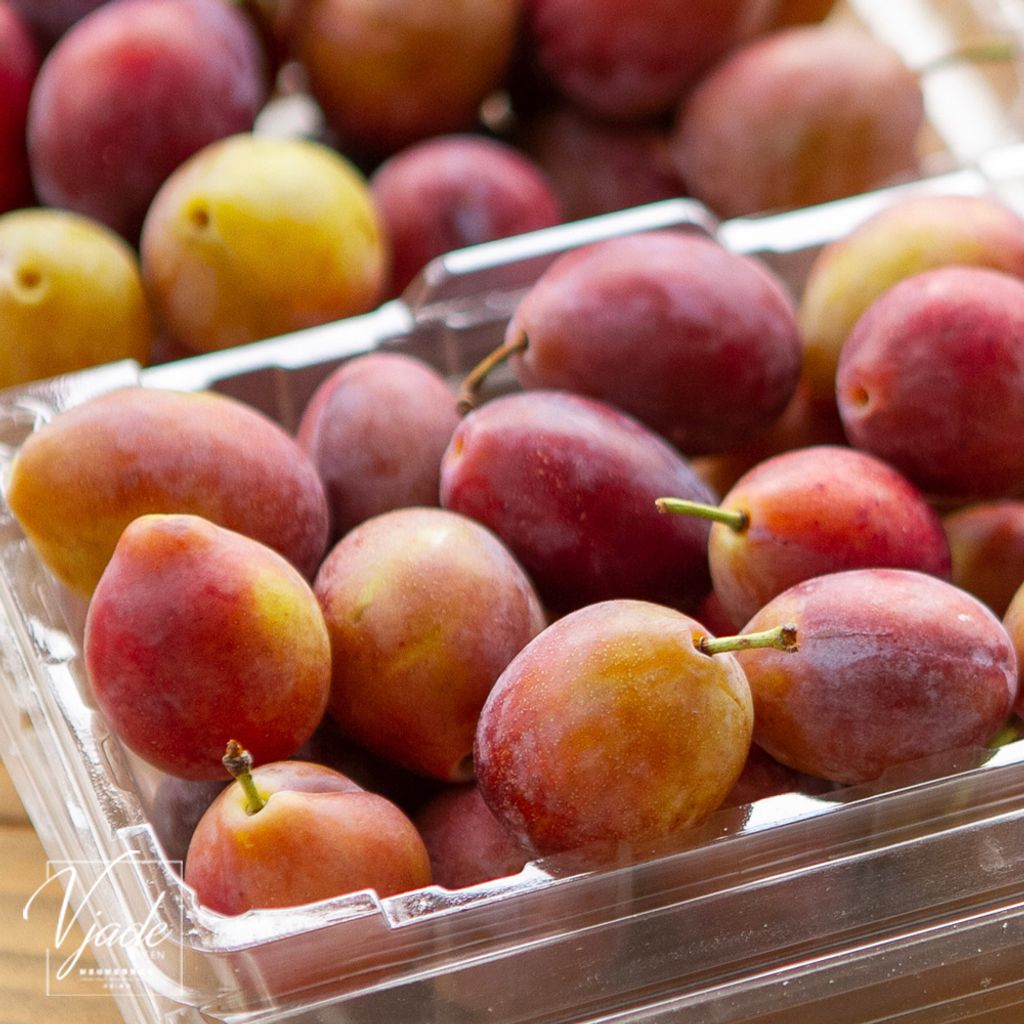 tw-11134207-23030-dazgpj4jcvov76