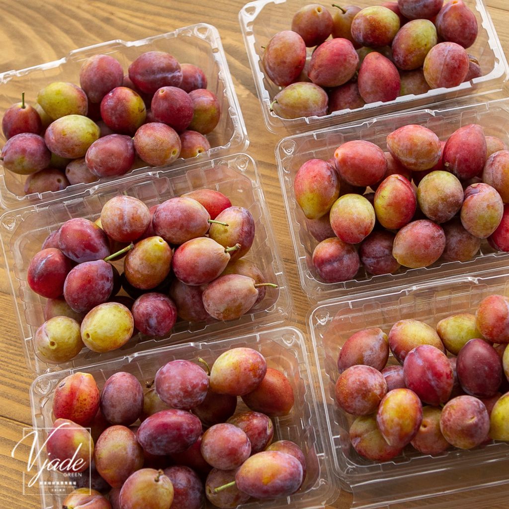 tw-11134207-23030-an167q4jcvovcb