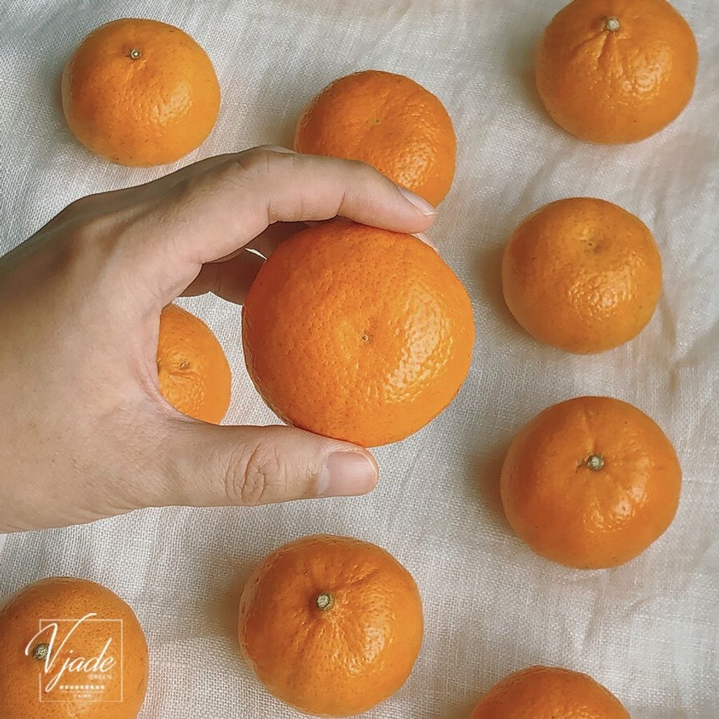 d89f8e875377530ff3621c5f17bae02e