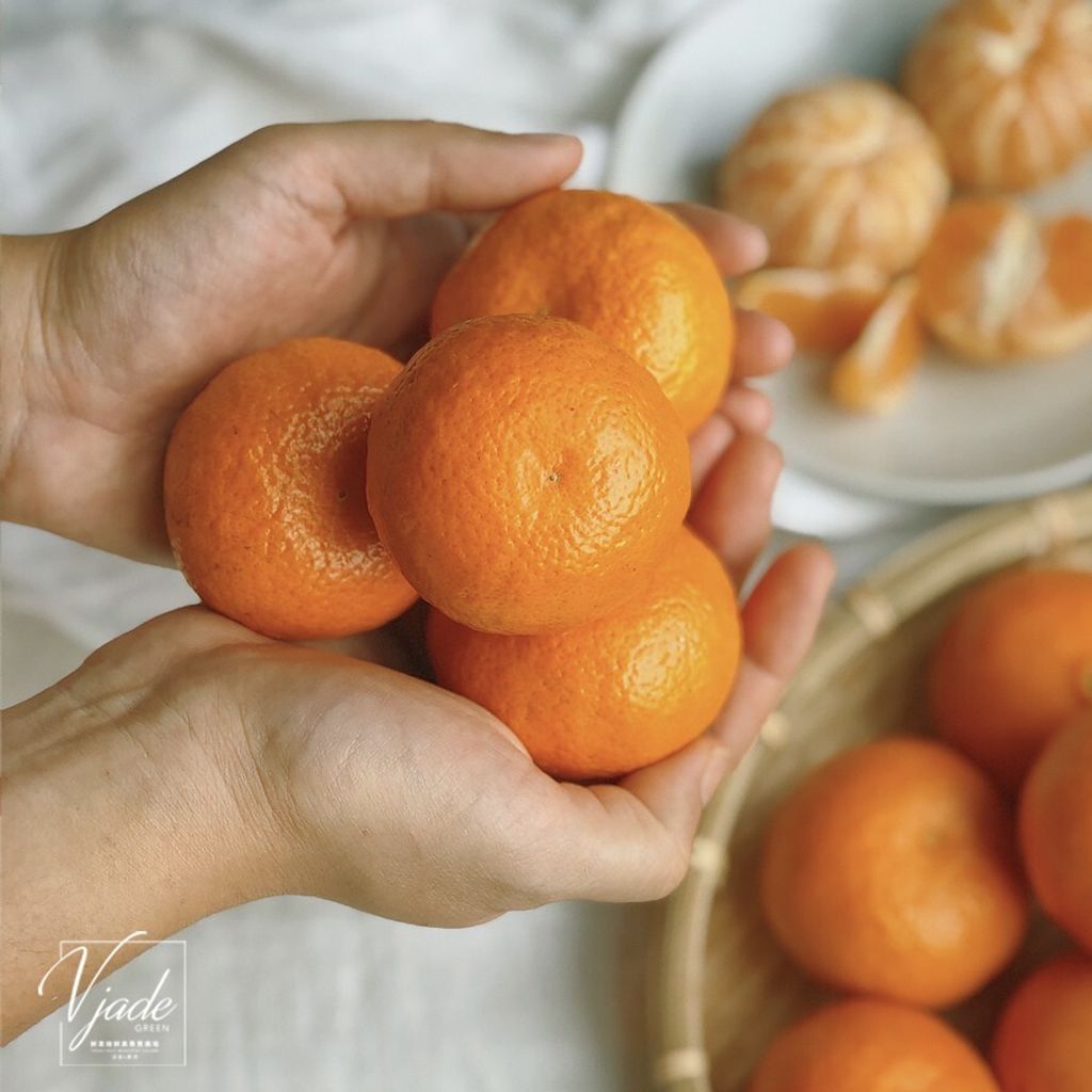 b9699771daea660d8e39efe98b944b67