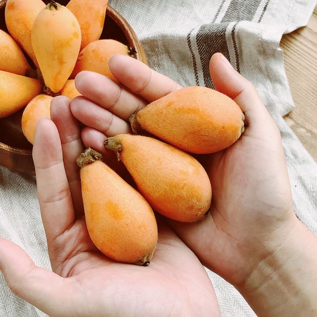 75637eb99d788e24506066ecd146ce75