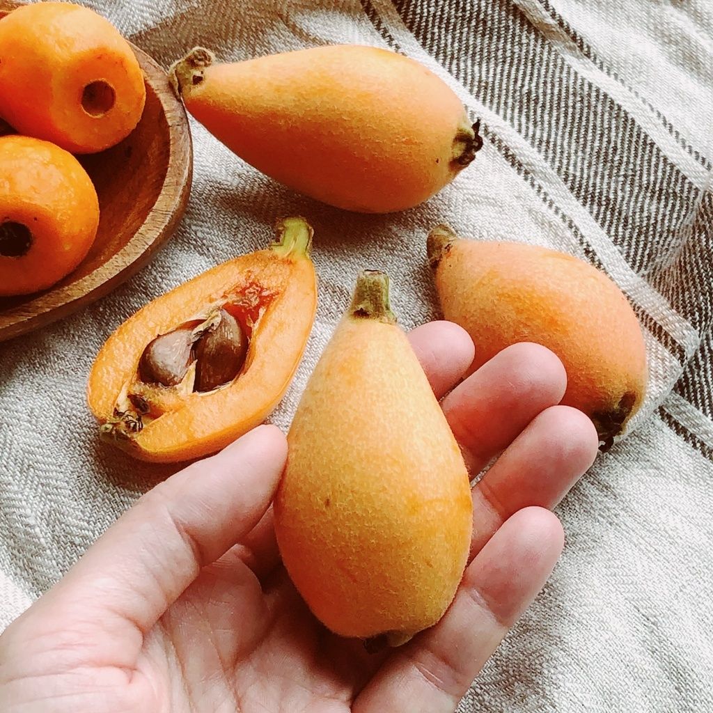 1191d94775847d732c6421cf5dbd5664