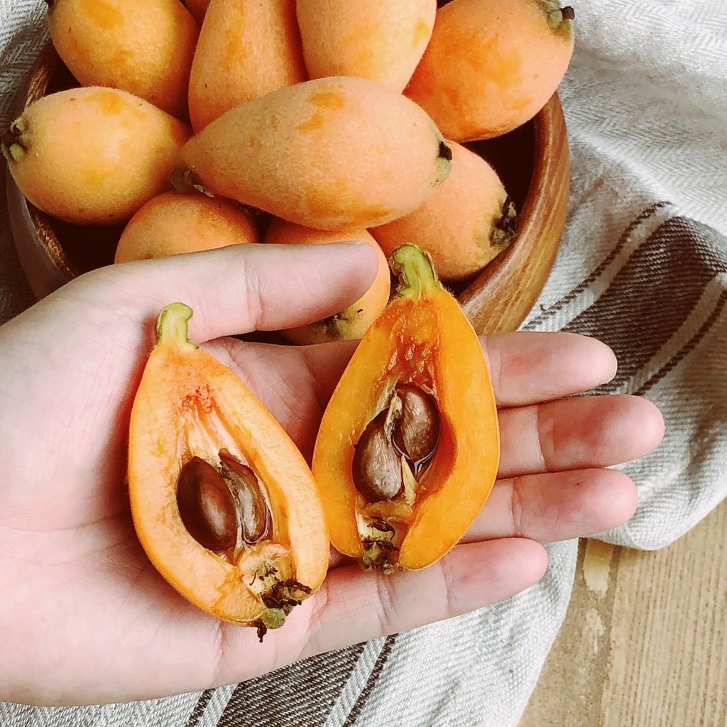 e46c2b62247892bef3afa7315f8df041