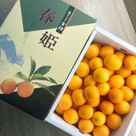 tw-11134207-23010-85i8mq8916lvf5