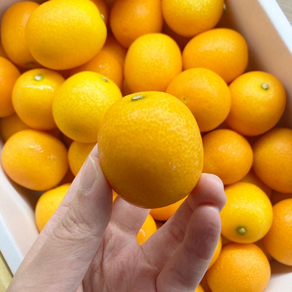 tw-11134207-23010-rk56mq8916lvca