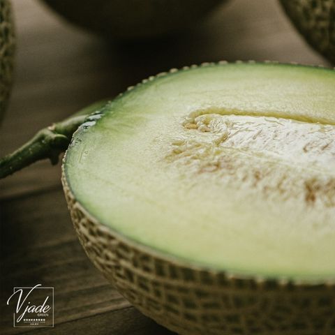 e918dae1a2f071ba40848790a14cca2e