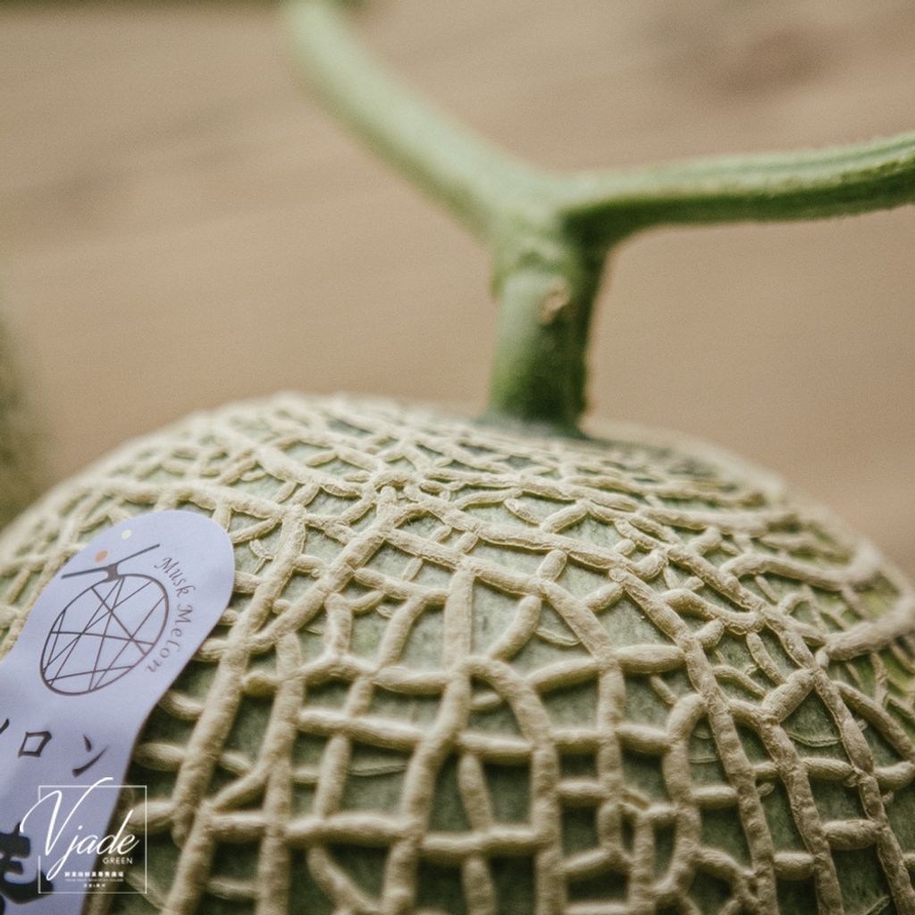 a18dc4eec8db689e3e6ffd0efbb7f1e6