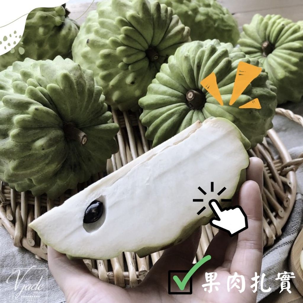 sg-11134201-22110-t3ysq1a7sdkvc2