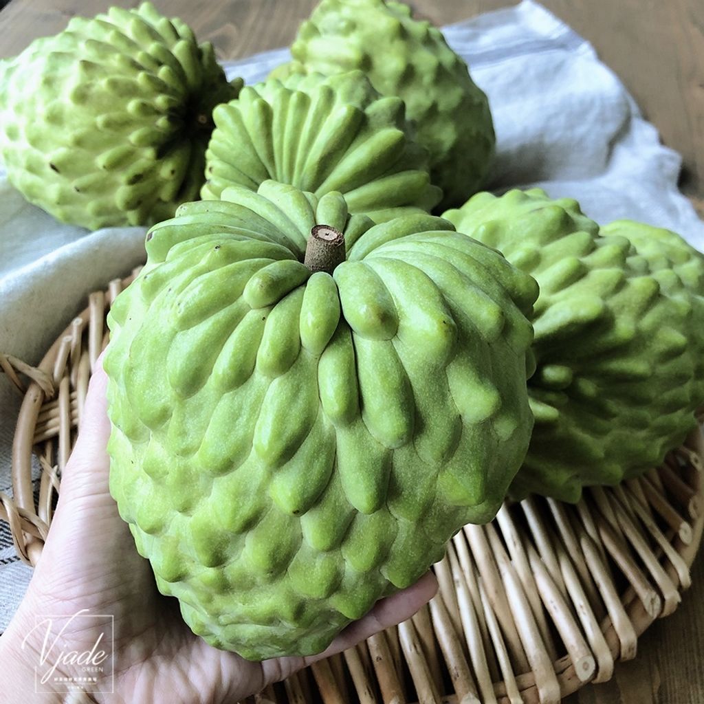 480cdeab0776a4282857c4a523997a46