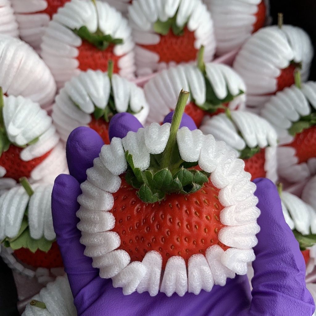 02bf7948de0161167cb18feaa52dd2ee