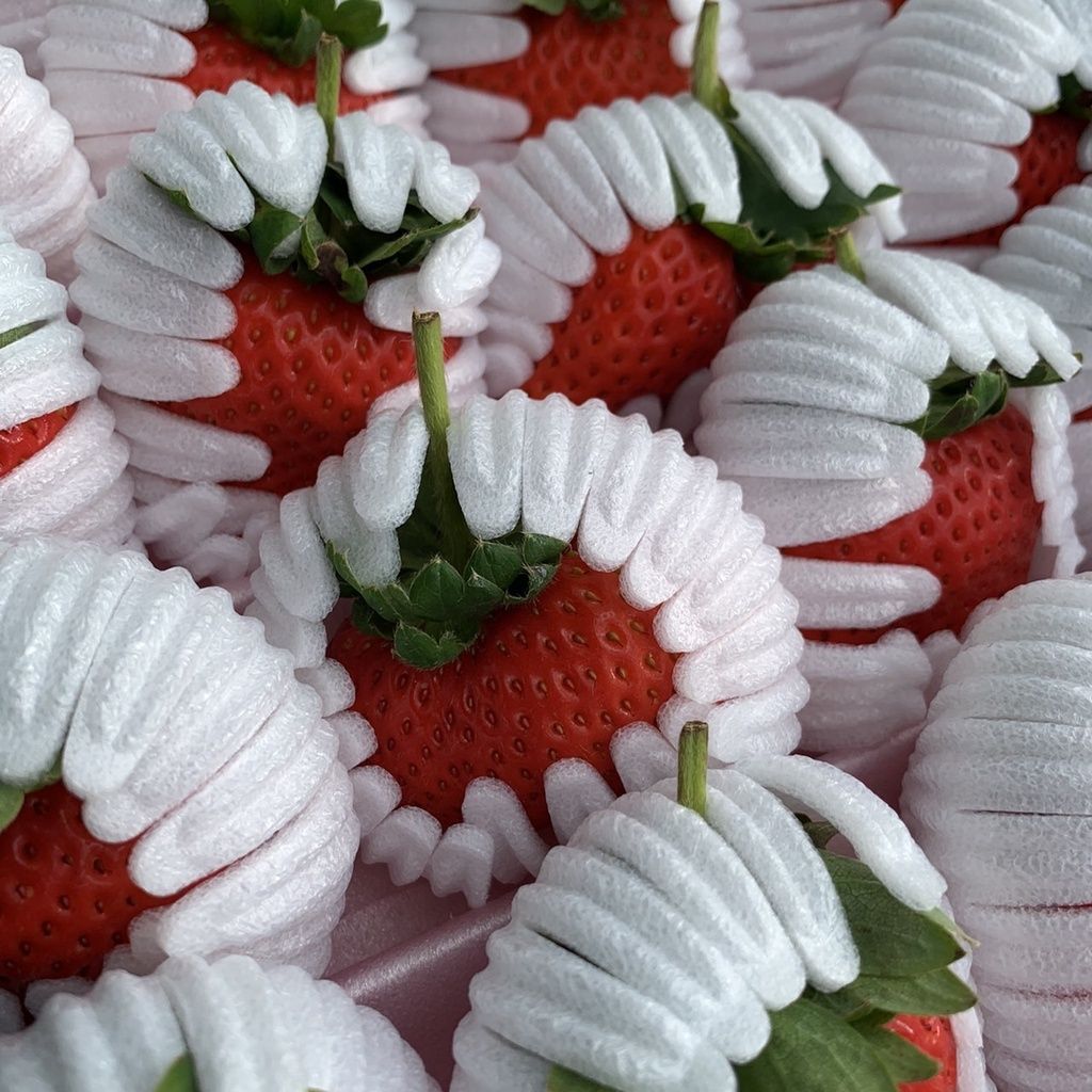 04e34a50b050c205ff47b21676173228