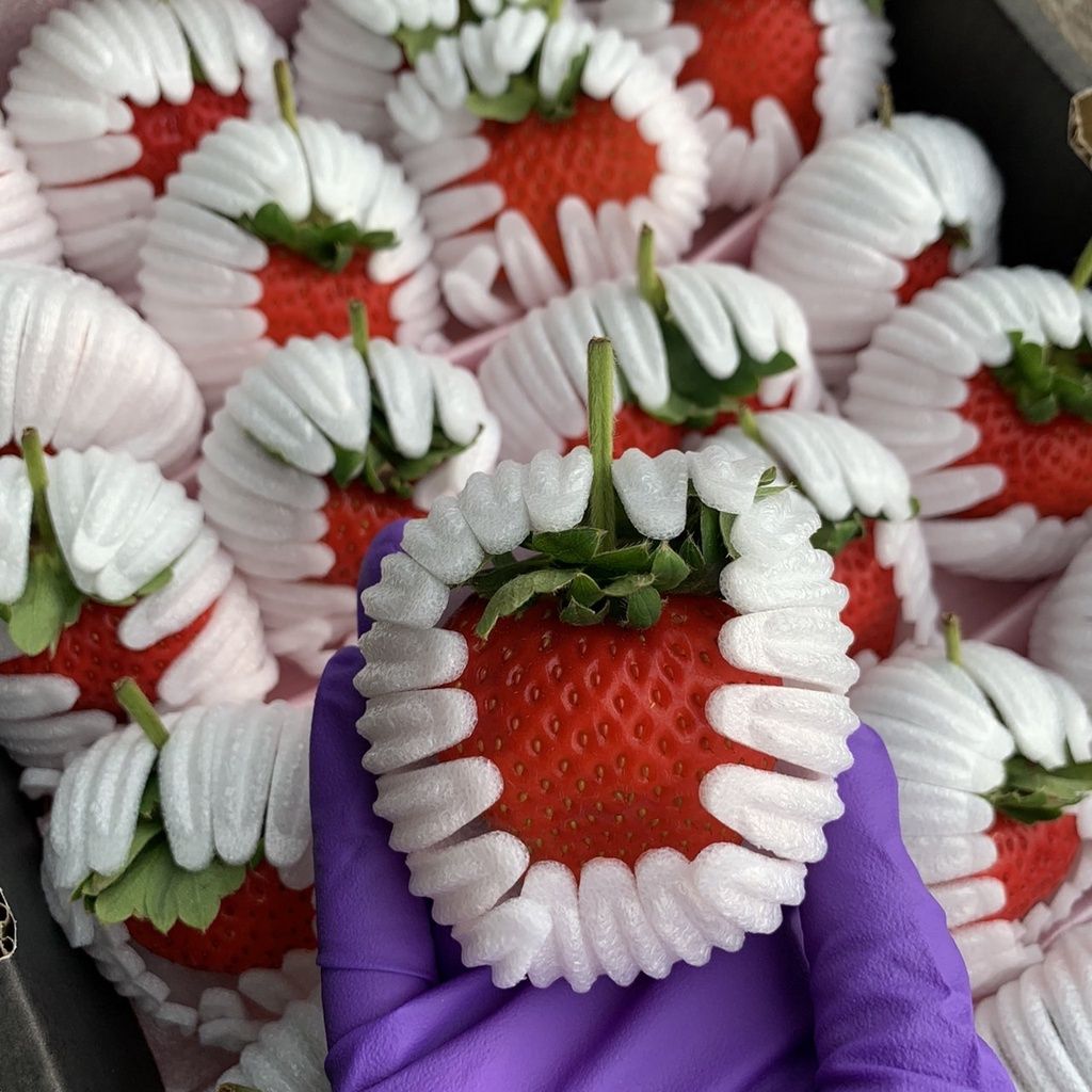 95adaa4f13fa608681b198787080480a