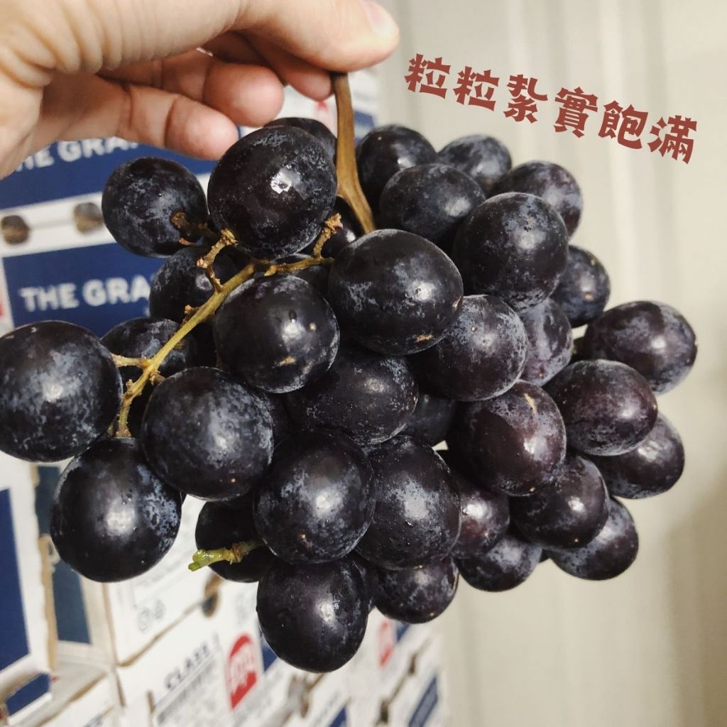 tw-11134207-23030-muva5x3r9mov95